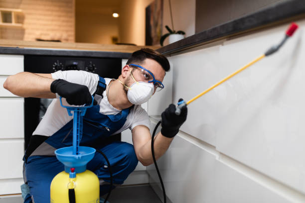 Best Affordable Pest Control Services  in Southern Shores, NC