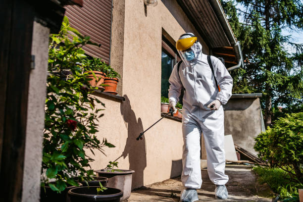 Reliable Southern Shores, NC Pest Control Solutions