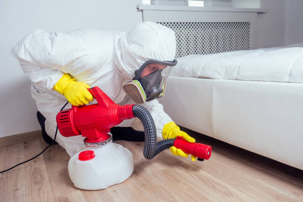 Best Pest Removal Services  in Southern Shores, NC