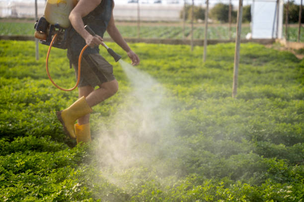 Best Affordable Pest Control Services  in Southern Shores, NC