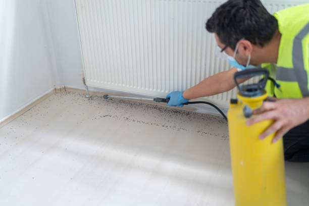 Best Bed Bug Extermination  in Southern Shores, NC